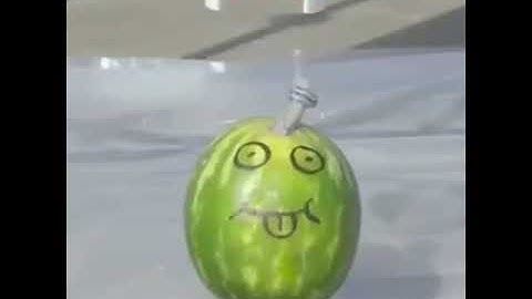 The benefits of using a hard hat.video best. cool video . #shorts