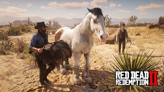 O CAVALO MAIS BONITO - Fui com o JOHN MARSTON e o JACK comprar o GYPSY COB - Red Dead Redemption 2 screenshot 2