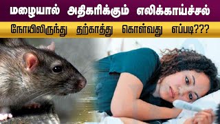 எலிக்காய்ச்சல் நோயிலிருந்து தற்காத்து கொள்வது எப்படி ??? | Leptospirosis | Rat Fever