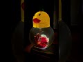 I Bought New Red Colour Betta fish ￼ #vlog #bettafish #fish #beautifulbettafis