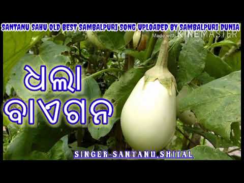 Dhala baigana  santanu sahu old superhit sambalpuri song