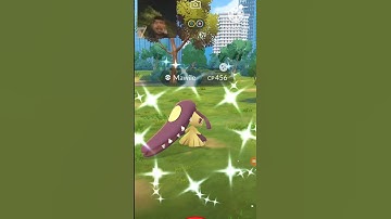 Pokemon go shiny hunting for my first shiny ✨ #pokemongo #viralvideo #shortvideo