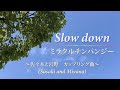 【佐々木と宮野(Sasaki and Miyano)】『Slow down』(ミラクルチンパンジーさん)を演奏(打ち込み)してみた