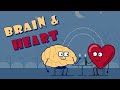 Brain  heart