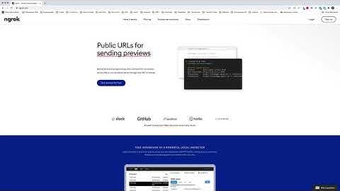 Step 1: Install ngrok - Ultra Extension Framework Tutorial