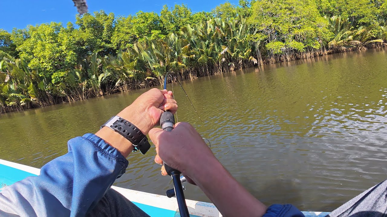 Ntah kakap ini lagi apes atau emang saya lagi beruntung!