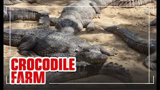 Harare Anglican Servers Guild Kariba Camp 2025 Book Your Seat Now