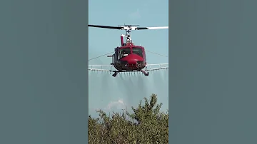Vietnam Veteran Helicopter Spraying Almond Trees Shorts 