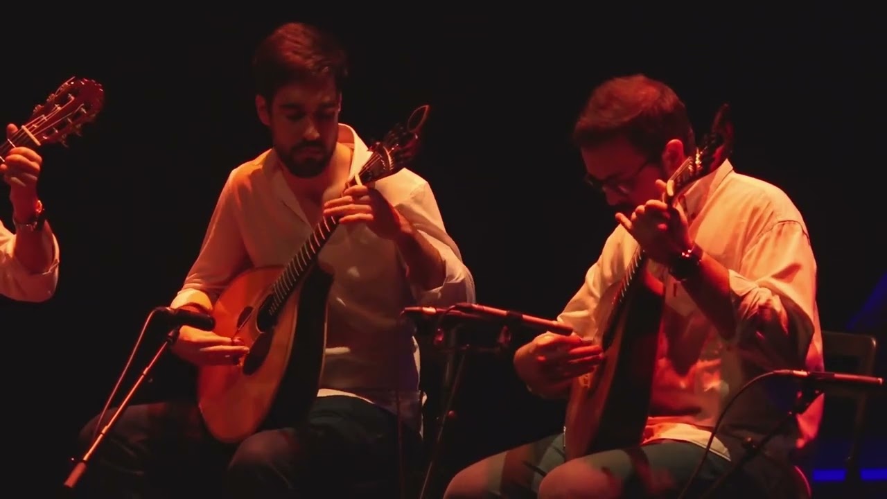 Variações em Ré Maior - Artur Paredes