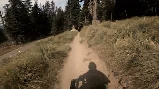 Timberline 2026 08 02
