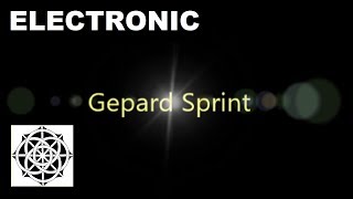 Gepard Sprint - A. Myrén