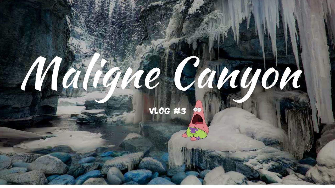 Maligne Canyon Ice Walk 2021 in Jasper National Park