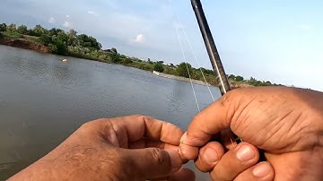 BÌNH ĐẠI SAU MƯA CHỈ CÓ CÁ CHÉT.K FISHING LURE
