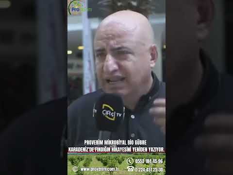 PROVERİM KARADENİZDE FINDIĞIN