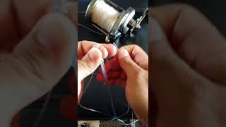 Modified double line Albright for a rub line when fishing ulua