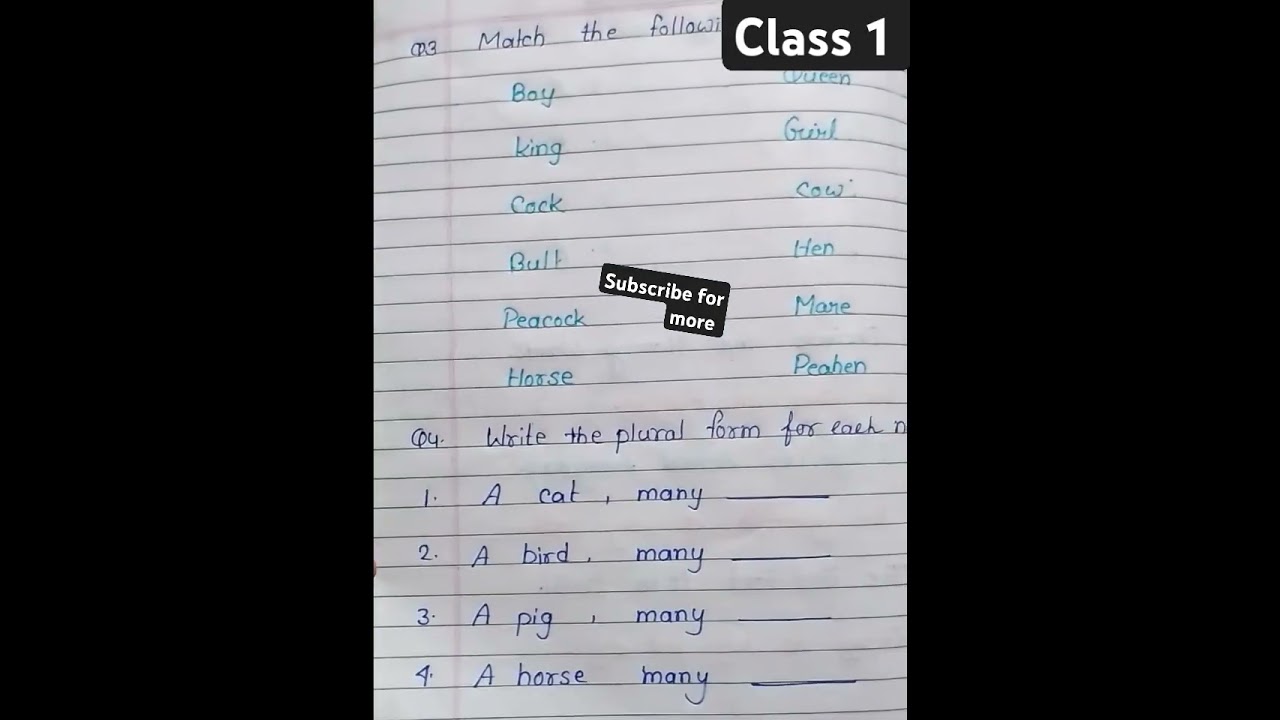 class 1 English worksheet/English worksheet for class 1/CBSE ICSE/Daily practice/Annual/Half yearly