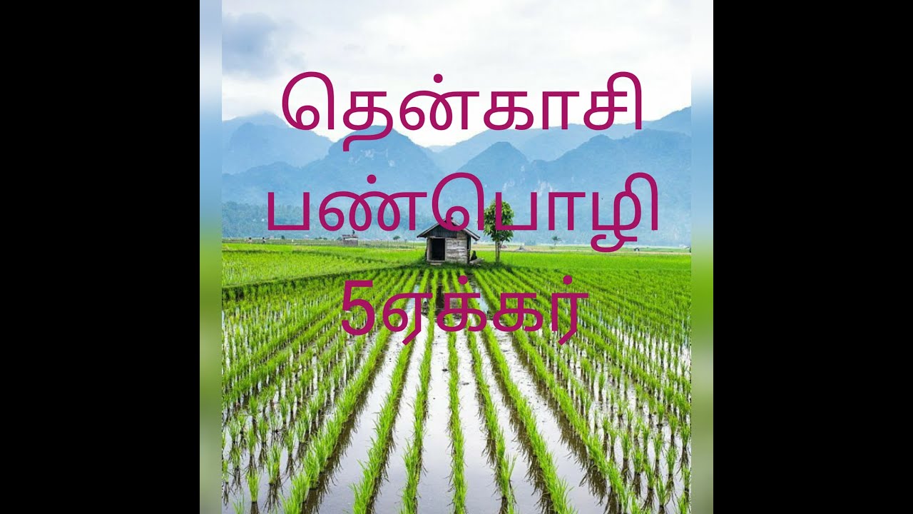 NO 188 * Agricultural land for sale * Tenkasi , Panpoli 5 acres YouTube