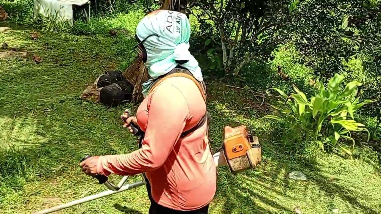 Cortei o mato da beira da casa de roçadeira 