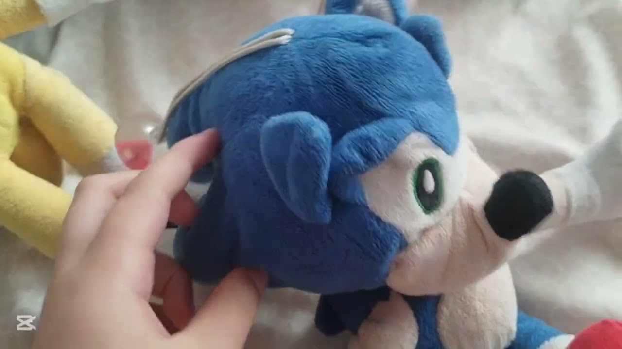 SONIC CONOSE A TAILS EXE 