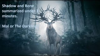 An introduction to the Grisha world! The summary of Shadow and Bone by Leigh Bardugo.