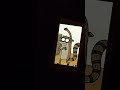 Mordecai and Rigby Crazy be like