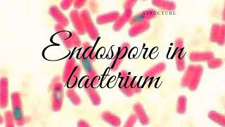 Endospore- Introduction and Structure