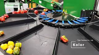 Green Sort Pepper Sorter