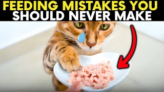 7 Deadly BUT Common Feeding Mistakes Shortening Your Cat’s Life