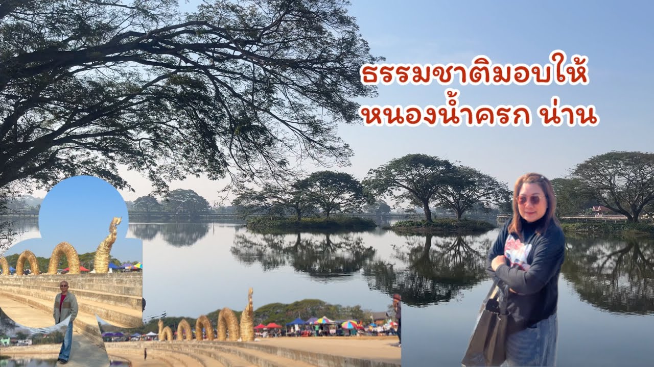 ชวนมาถ่ายรูปกับต้นฉำฉา กลางหนองน้ำเปิดตัวที่เที่ยวน่านแห่งใหม่