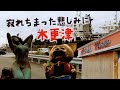 寂れちまった悲しみに 木更津駅周辺 vol.2 木更津市・千葉県ディープタウン