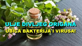 ULJE DIVLJEG ORIGANA - UBICA BAKTERIJA I VIRUSA!