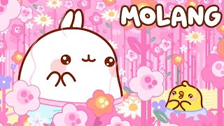 Molang - THE PERFUME 🌸 Best Cartoons for Babies - Super Toons TV