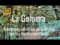 La Gomera - Urige Nebelwald-Tour von Raso de la Bruma über Pista La Meseta nach Epina