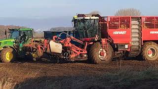 sunny Saturday in norfolk lifting beet with the boys