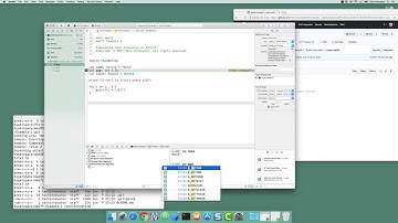 Swift Example 1 - using Xcode interactive debugger