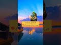 قول الامام علي عن الأم اقوال الامام علي عليه السلام اقوال الامام علي تصميم بدون حقوق