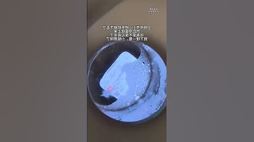 Rơi xuống bồn cầu trong khi đèn vẫn sáng