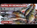 ОКУНЬ на БЕЗМОТИЛКУ. ЦЕЙ СПОСІБ ПРАЦЮЄ 100%! ЗИМОВИЙ СПІНІНГ на р. ПСЕЛ. Ловля ЩУКИ та ОКУНЯ