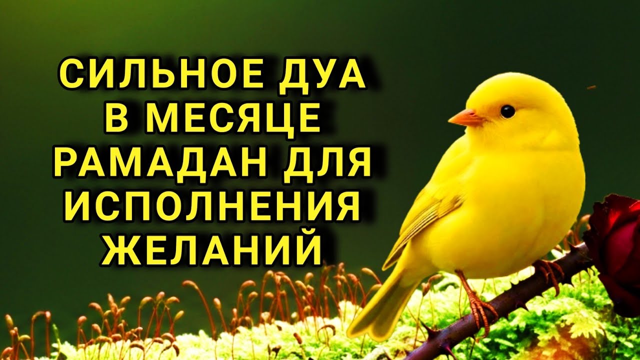 СИЛЬНОЕ ДУА ДЛЯ УСПЕХА И ИЗБАВЛЕНИЯ ОТ ПРОБЛЕМ В РАМАДАН 🔑💙🤲