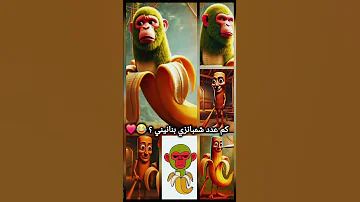 كم عدد شمبانزي بنانيني في الصوره 