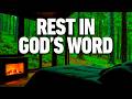 Bible Verses with Rain for Sleep and Meditation | Sleep With God's Word