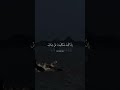 اجر لي ولك...🍁🤍