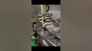 shrimp processing, shrimp grading, shrimp cooling, shrimp machine, #fishmachine #fishprocessing