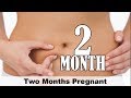 Second Month of Pregnancy गर्भावस्था का दूसरा महीना - लक्षण, बच्चे का विकास और शारीरिक बदलाव