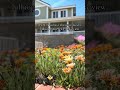 California homes for sale ￼