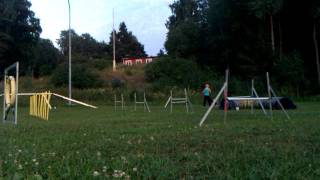 Helena & Wick. Lite basic agilityträning. Juli -11
