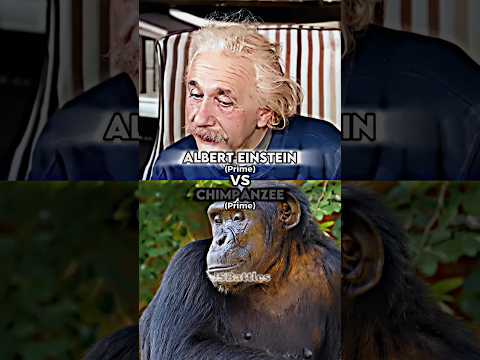 Albert Einstein vs
