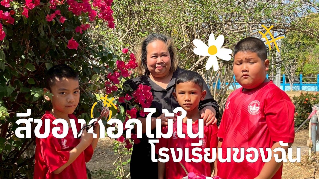สีของดอกไม้ในโรงเรียนของฉัน : ผลงานนักเรียน