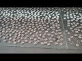 Visual Printers: Cartoons on Acrylic Buttons – Auto-Locate, 6/8-Color Mix, Eco-friendly & Durable