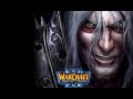 Warcraft III: Reforged #9.